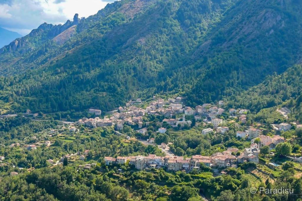 Studio Venaco Centre Corse Leilighet Eksteriør bilde